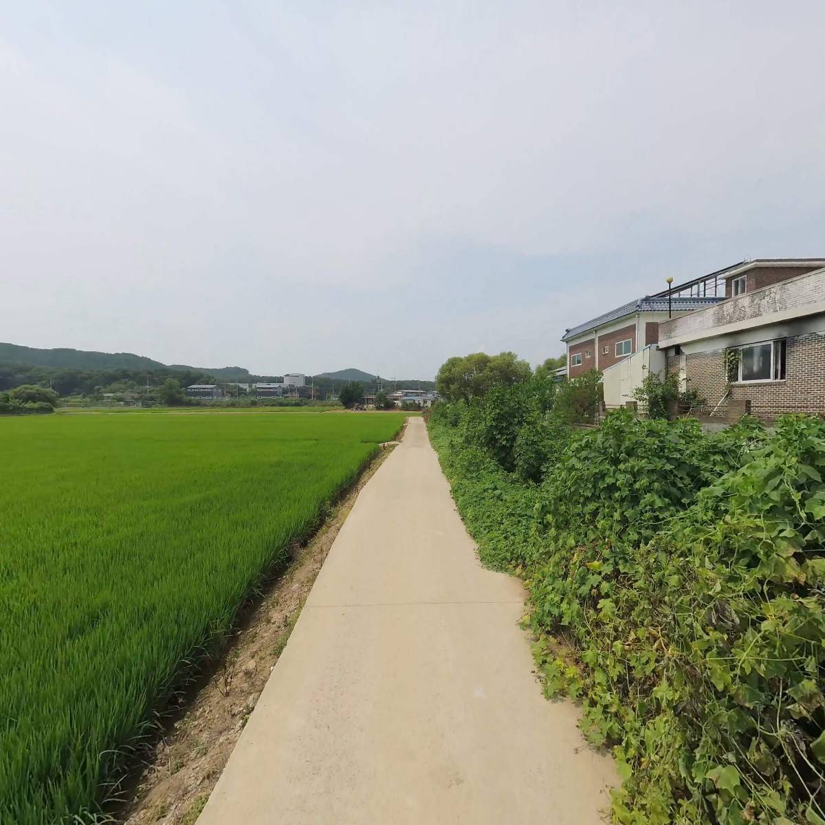 미르상사_2