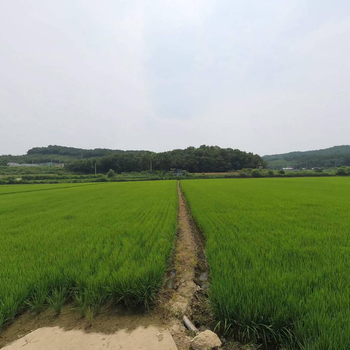 미르상사