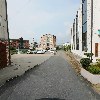애플트리 기프트_2