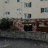 애플트리 기프트
