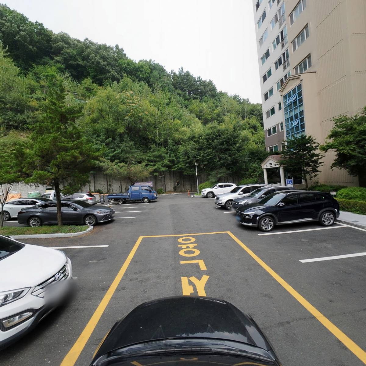 스템뱅크바이오_4