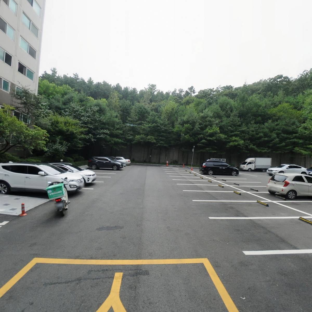 스템뱅크바이오_2