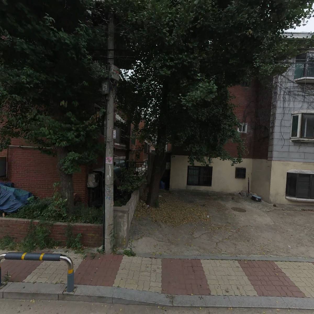 더월드(The World)