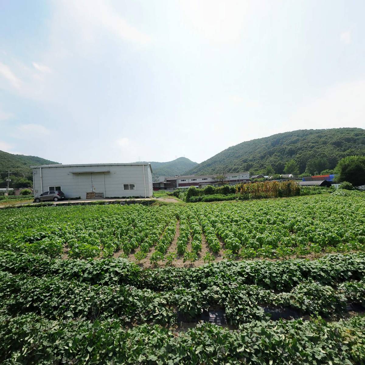 농업회사법인대산(주)