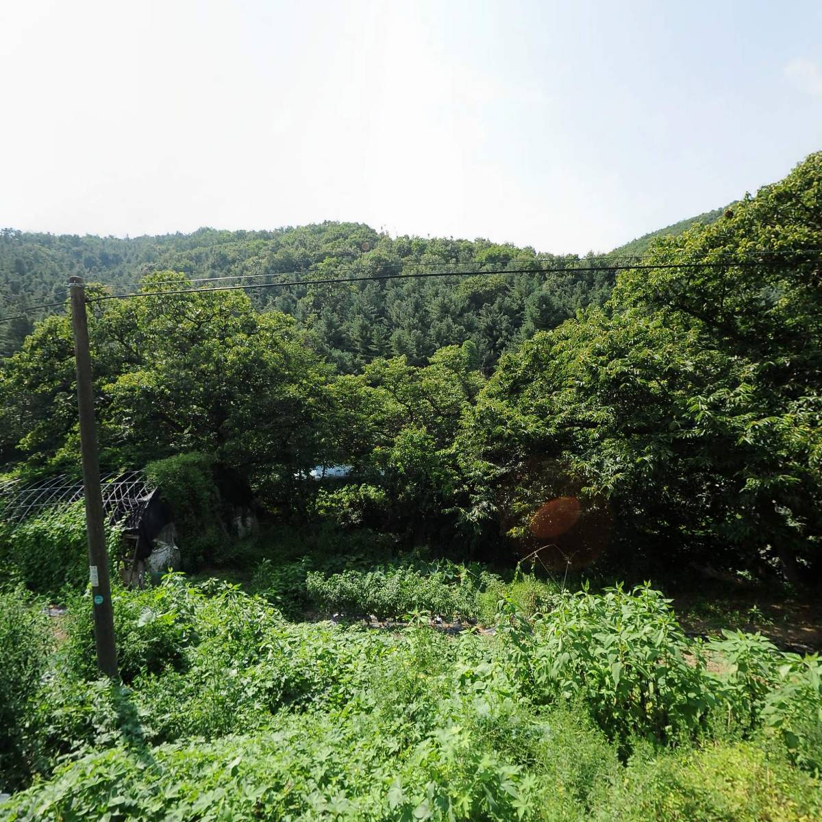 케이팝존