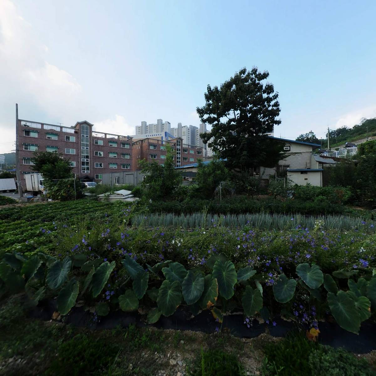 광주광성교회_3