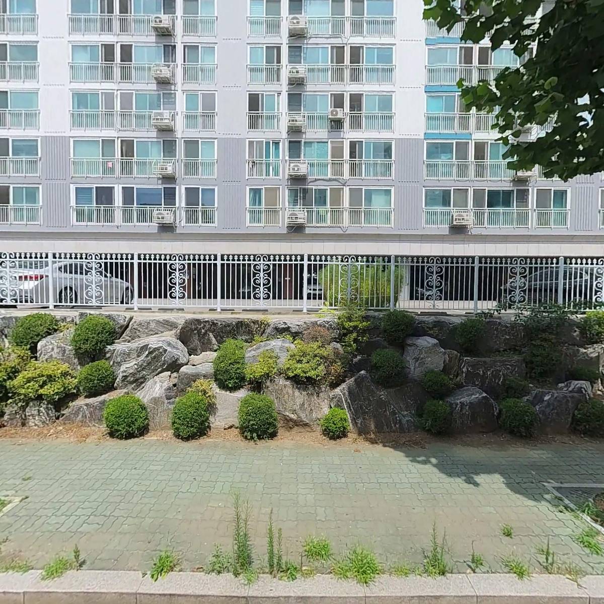 해바라기