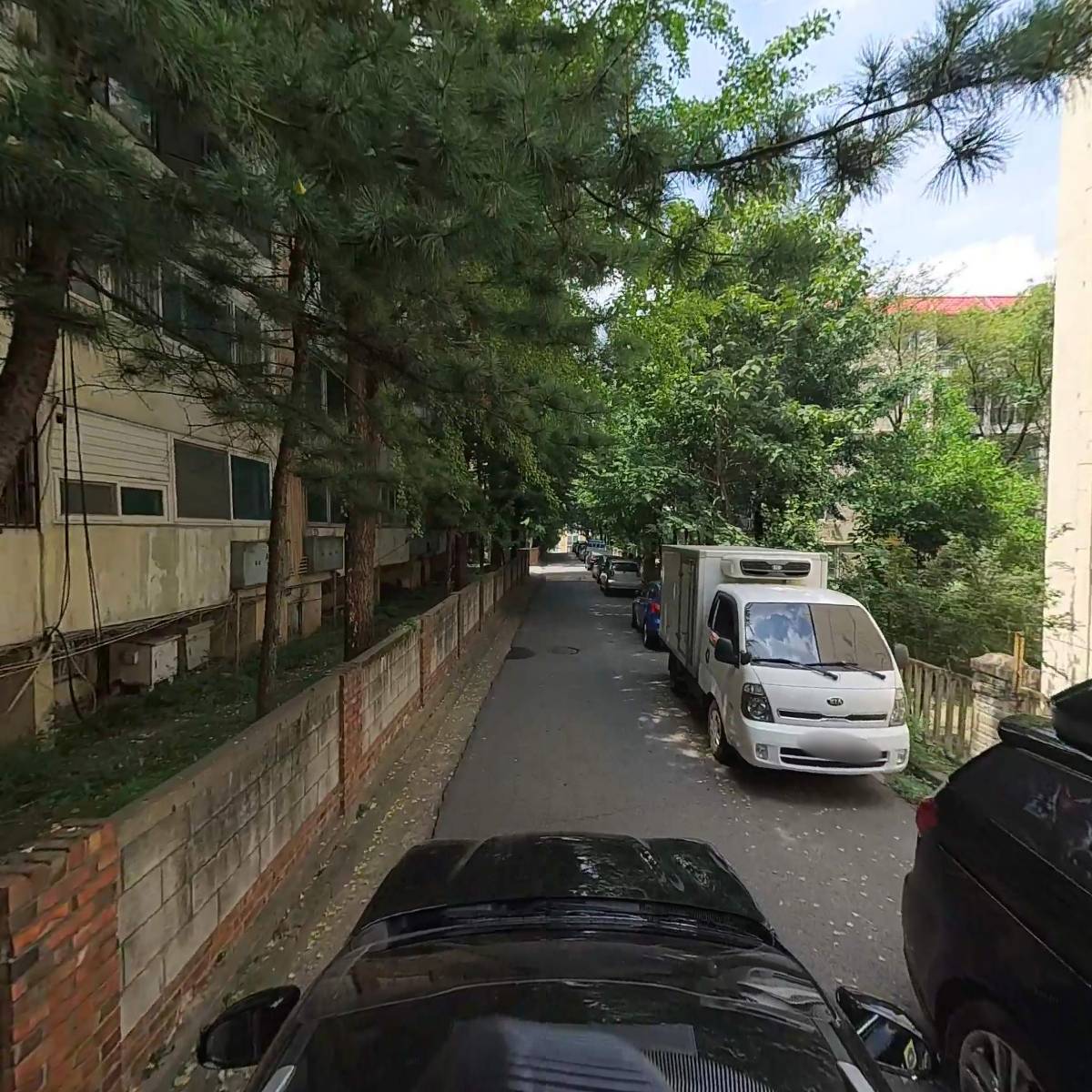 카피어_4