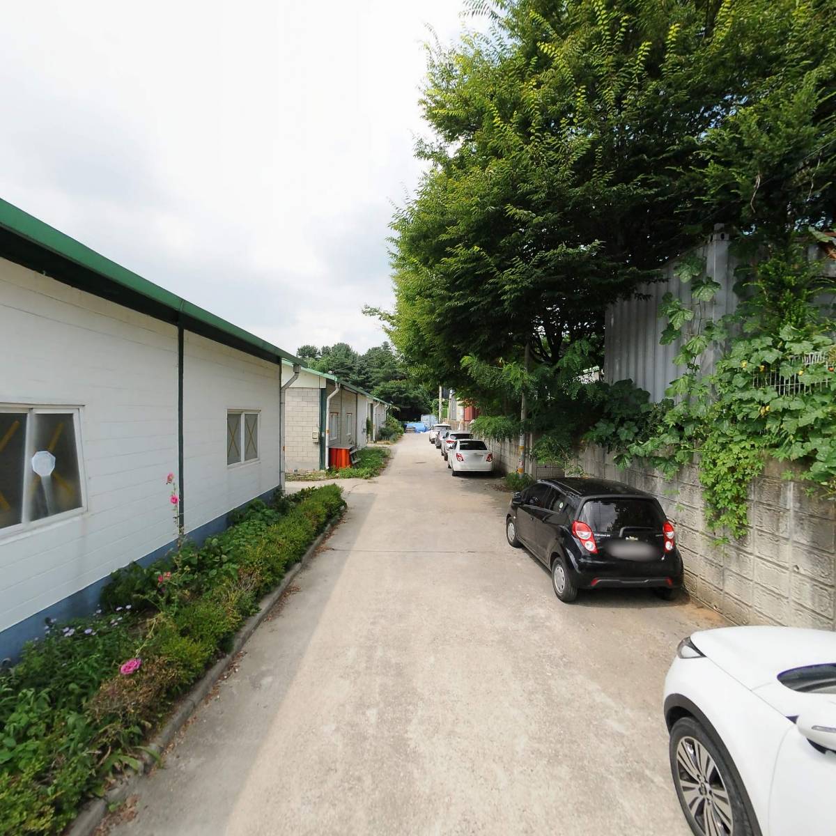 라임디자인_2