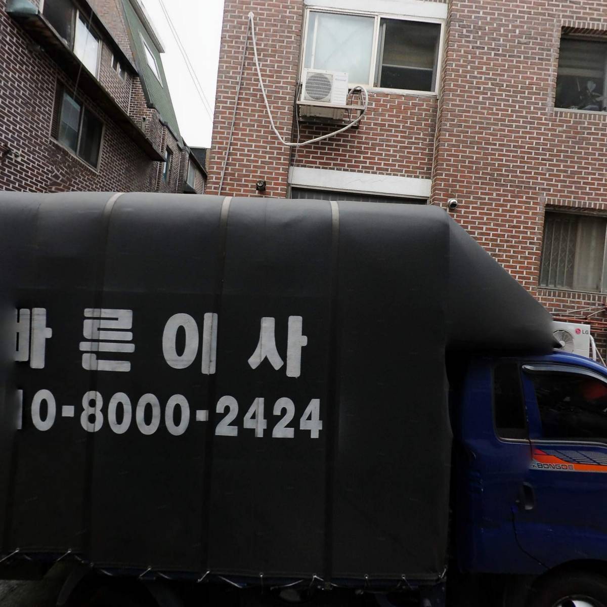 코지집
