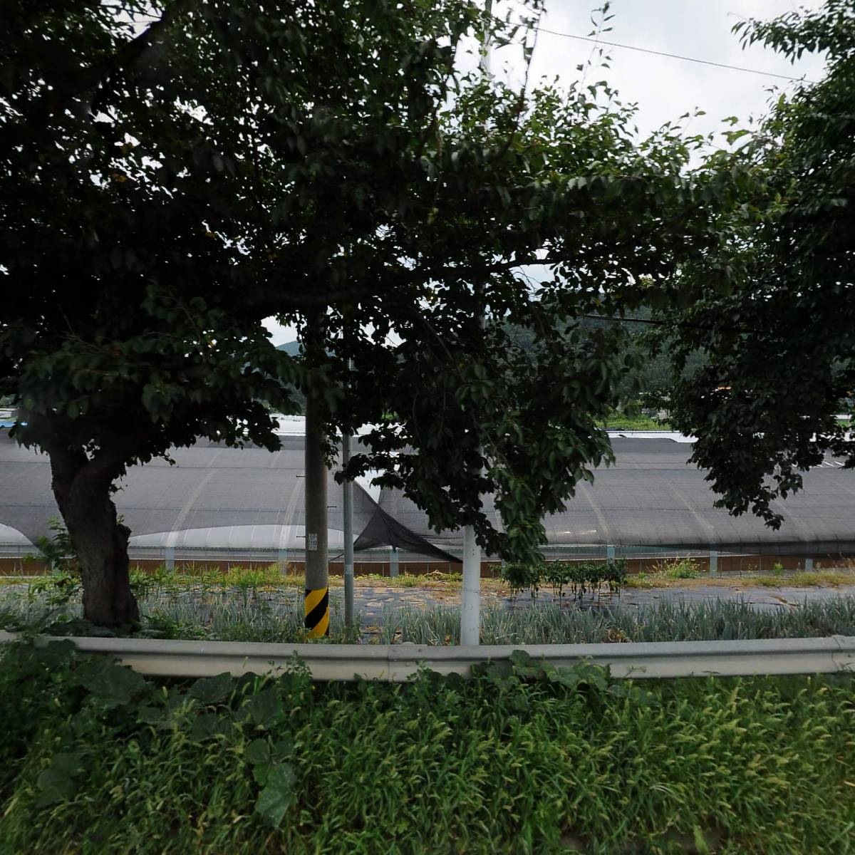 주식회사 에스피에스통상