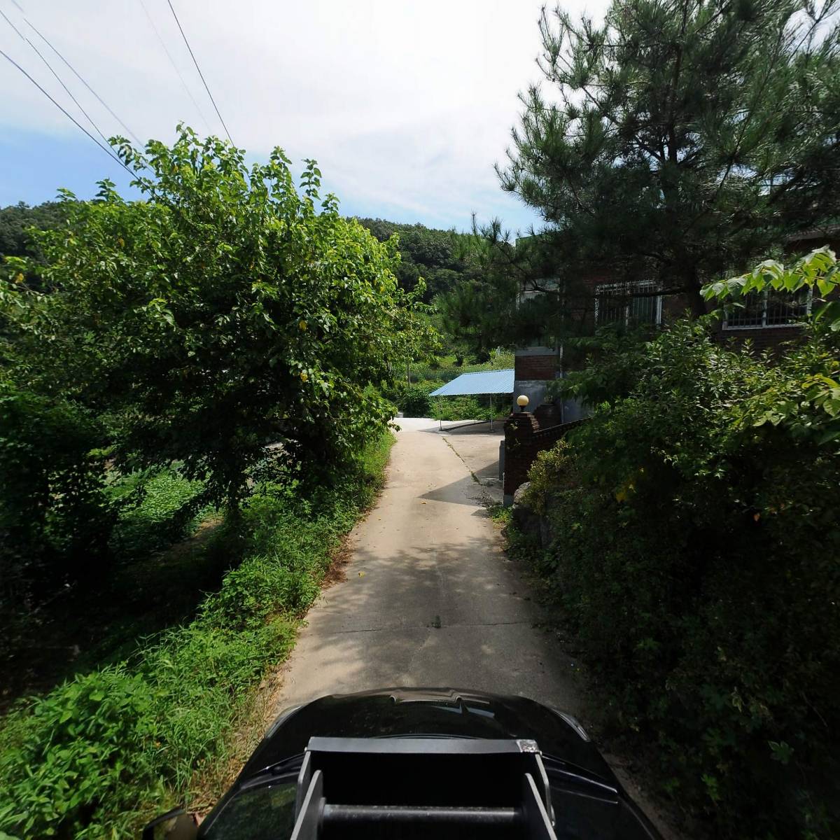 베다니동산_4