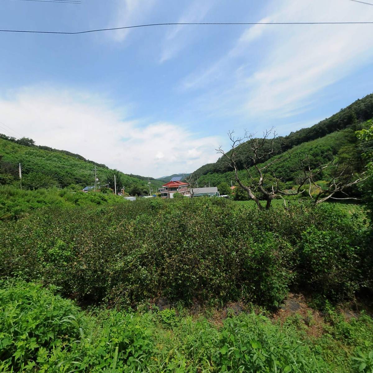 베다니동산_3