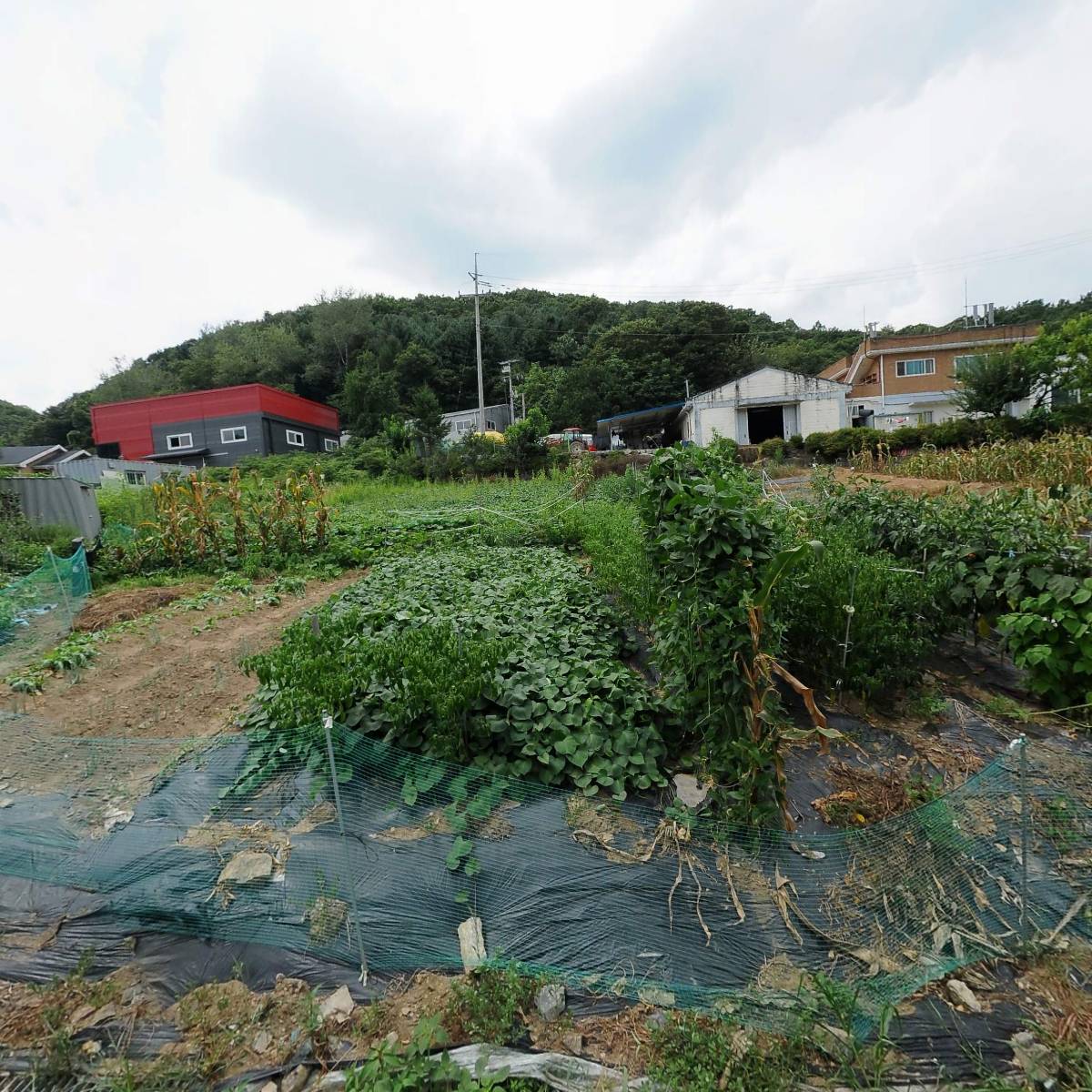 (주)에스오엠에프앤아이