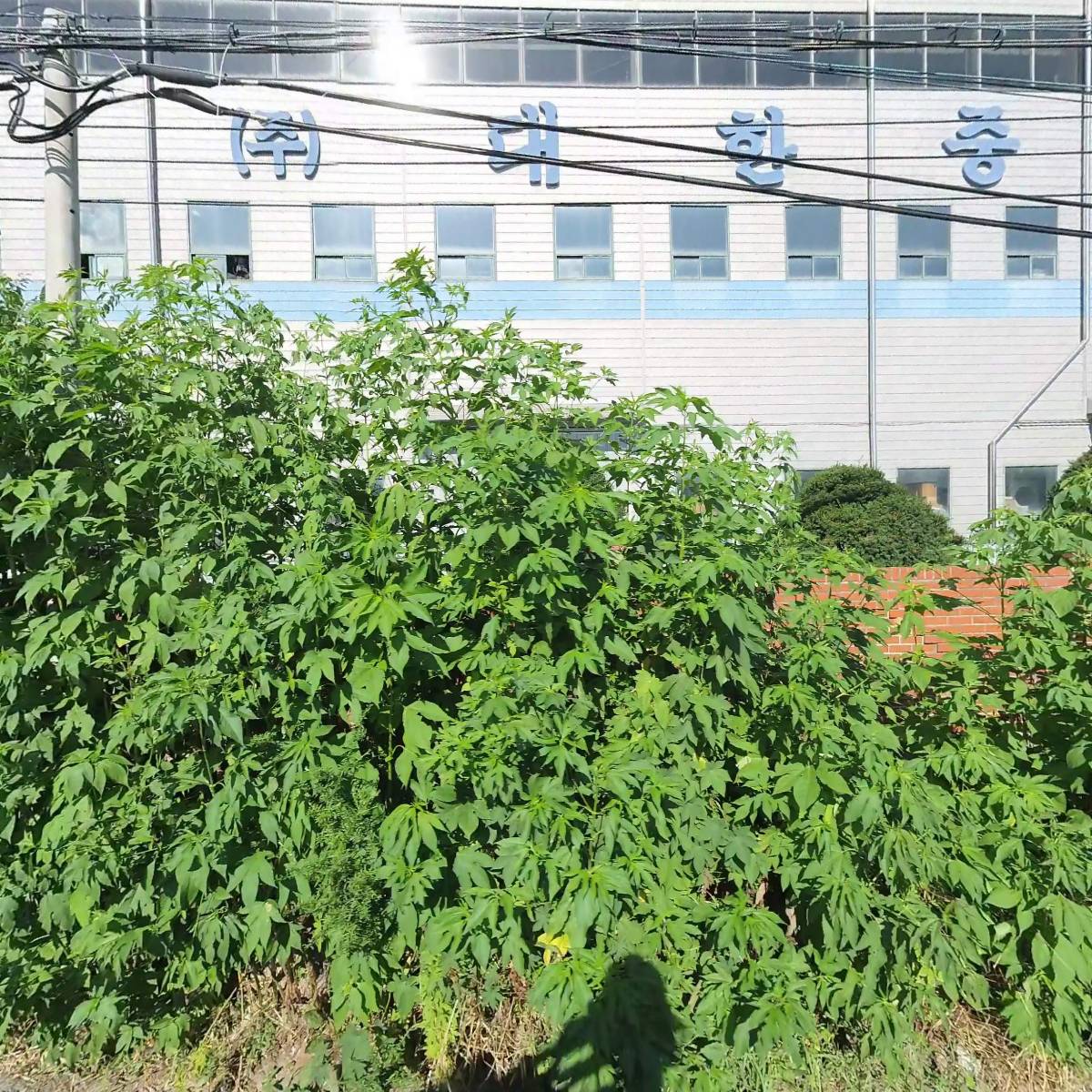 （주）알브이디테크