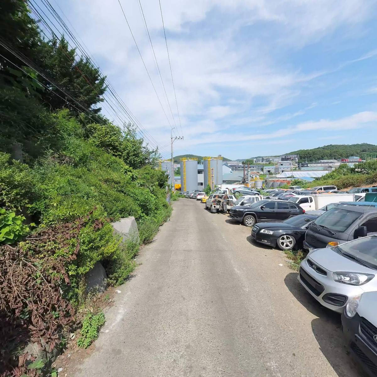 만타_2