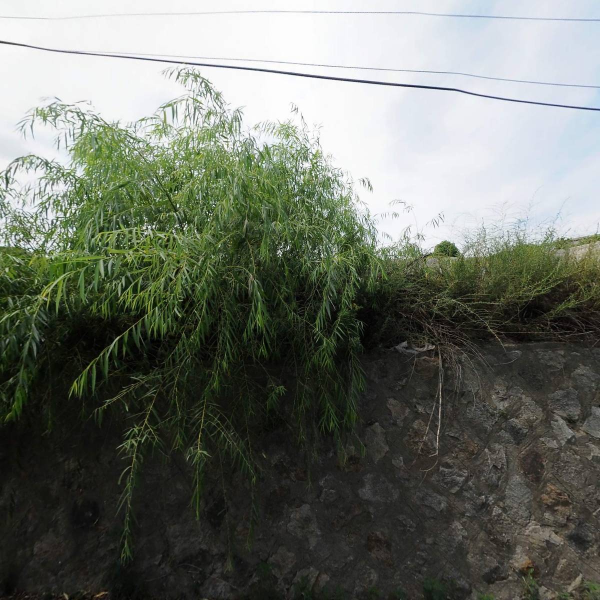 미림산업(주)