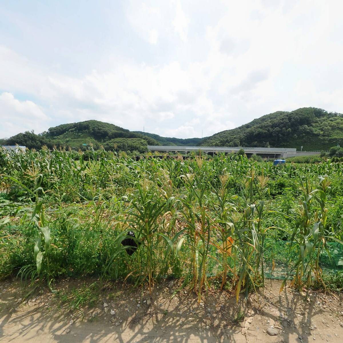 세준푸드 농업회사법인 주식회사