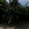 푸드플랫폼_3