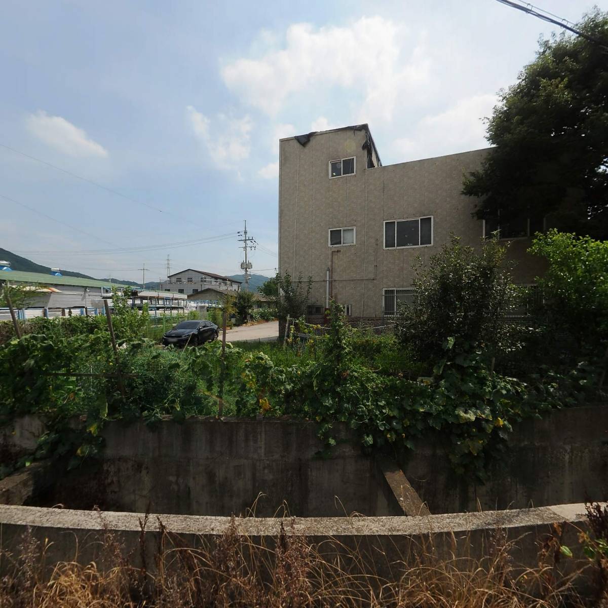 광동합판목재상사