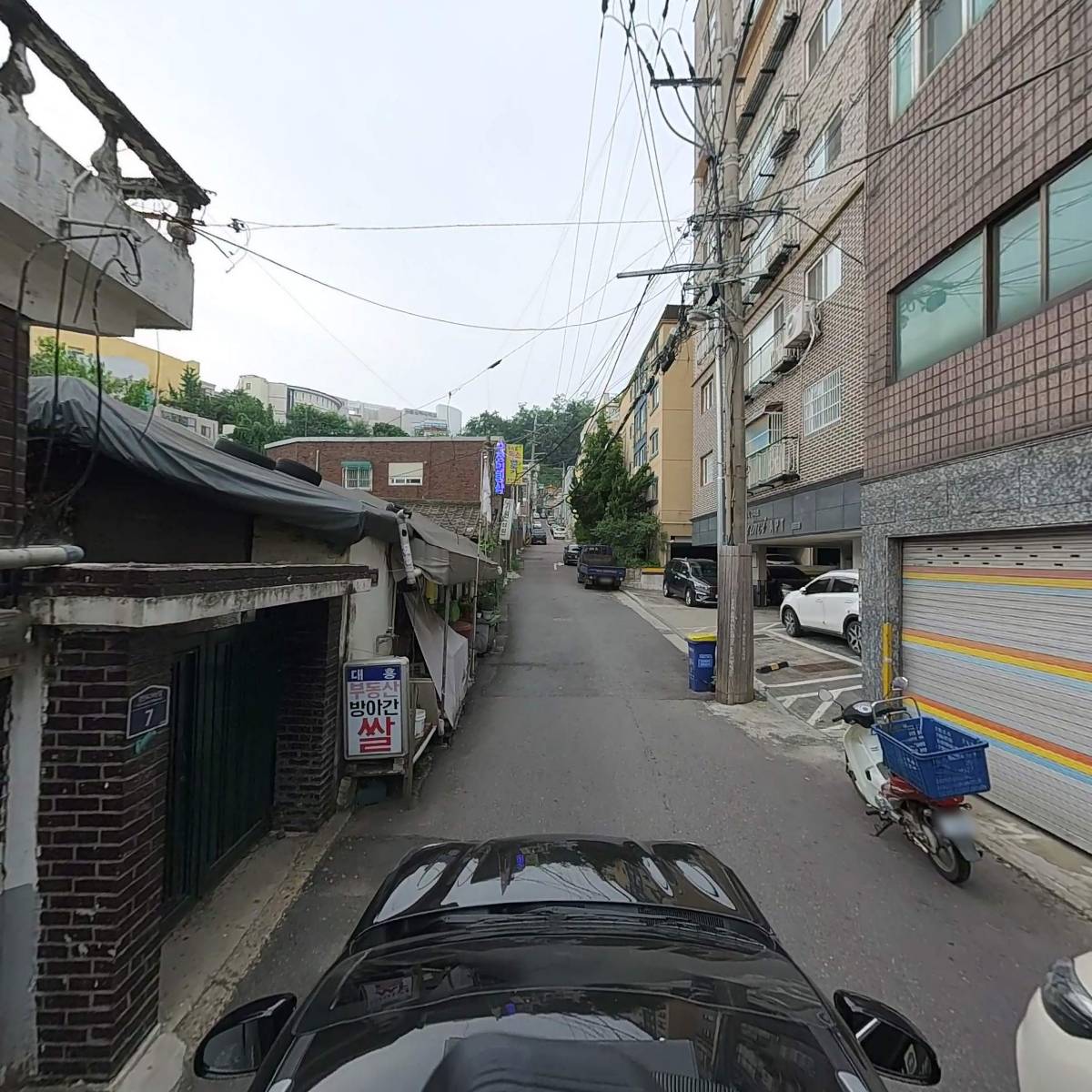 네오팝_4