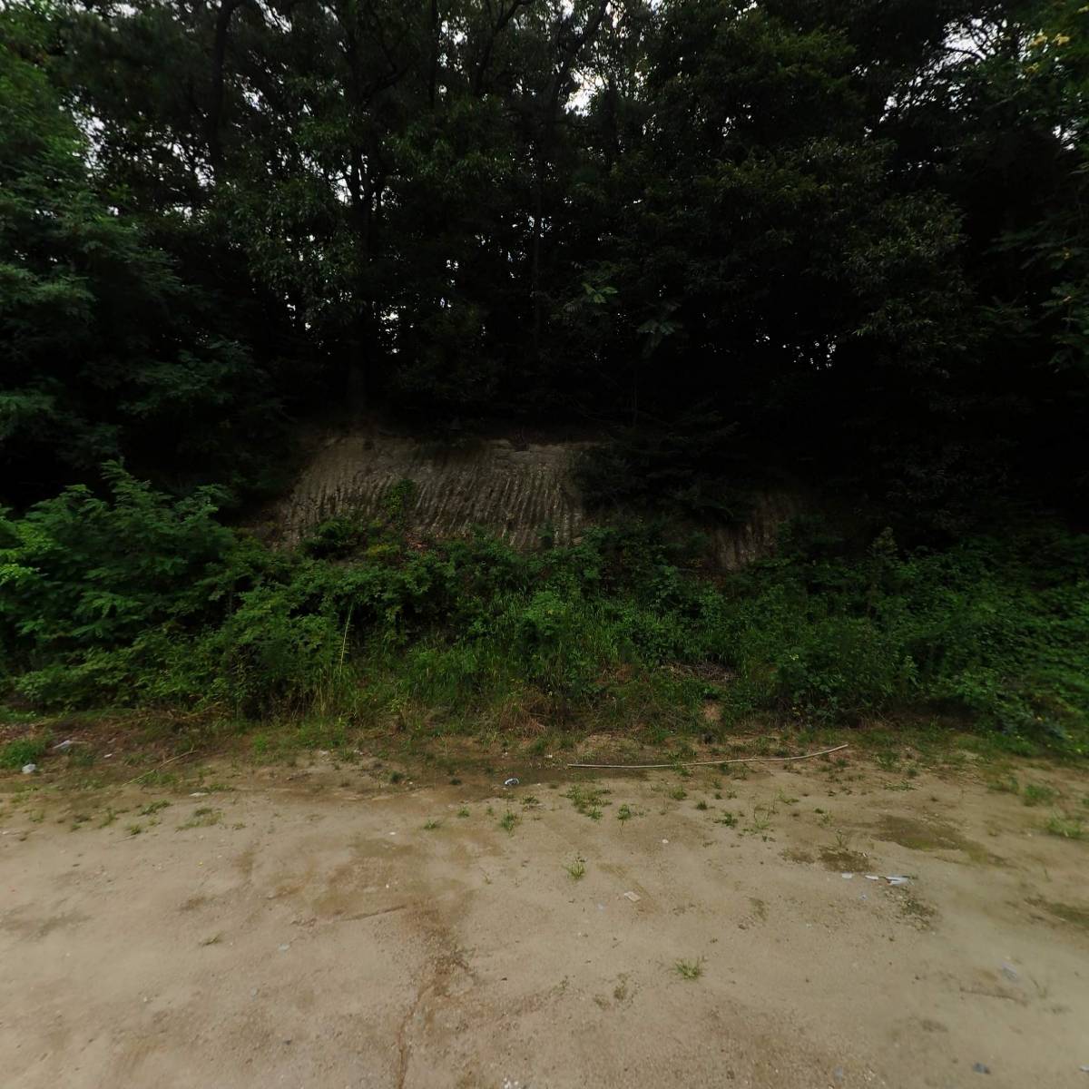 (주)대경기술단
