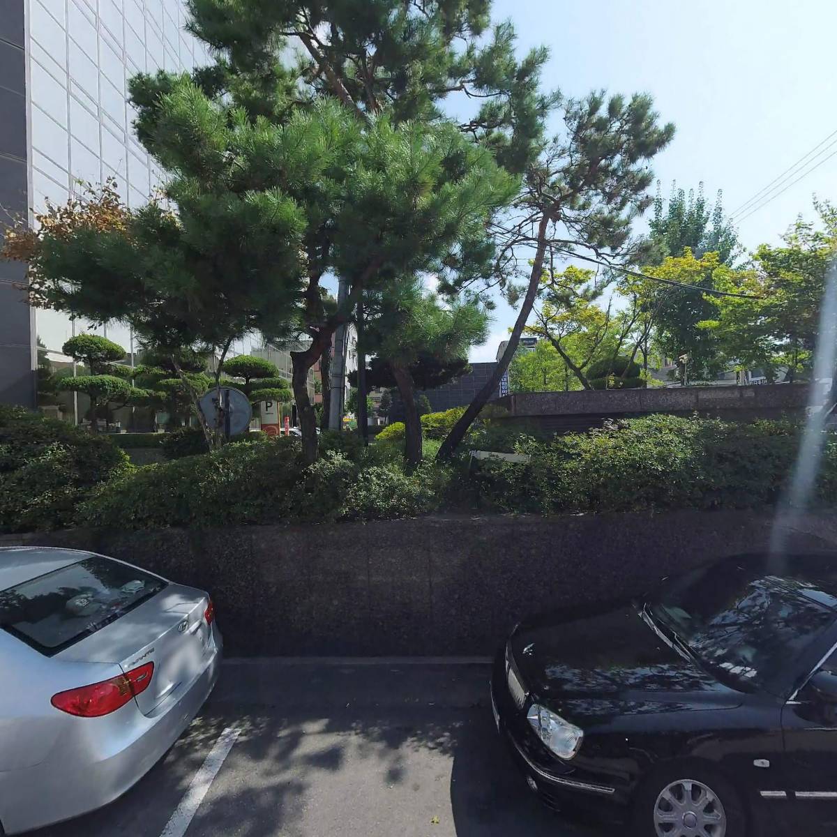 마포본가