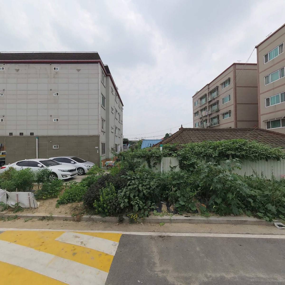 안흥식품_3