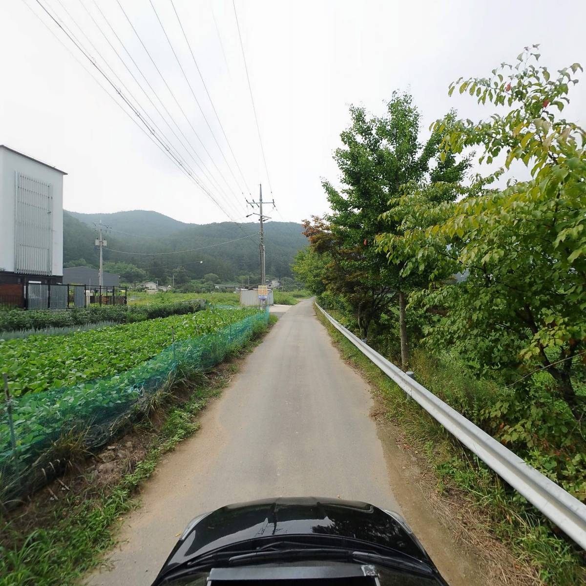 (주) 맥스위드코리아_4