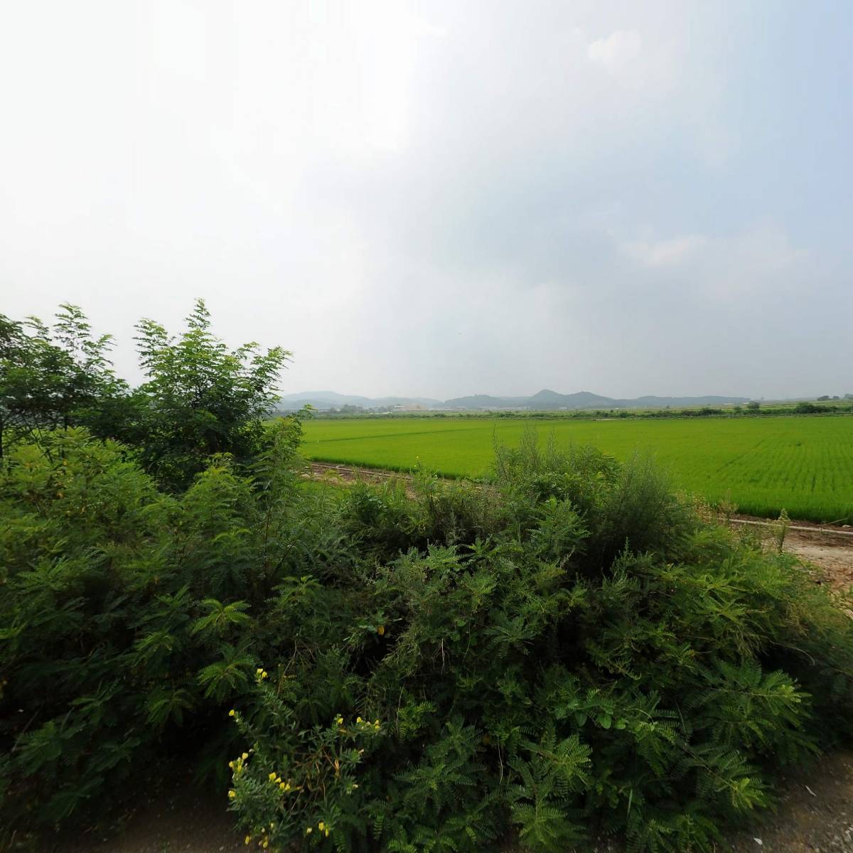 주식회사 이케이프레스(EK PRESS Co.,Ltd.)_3