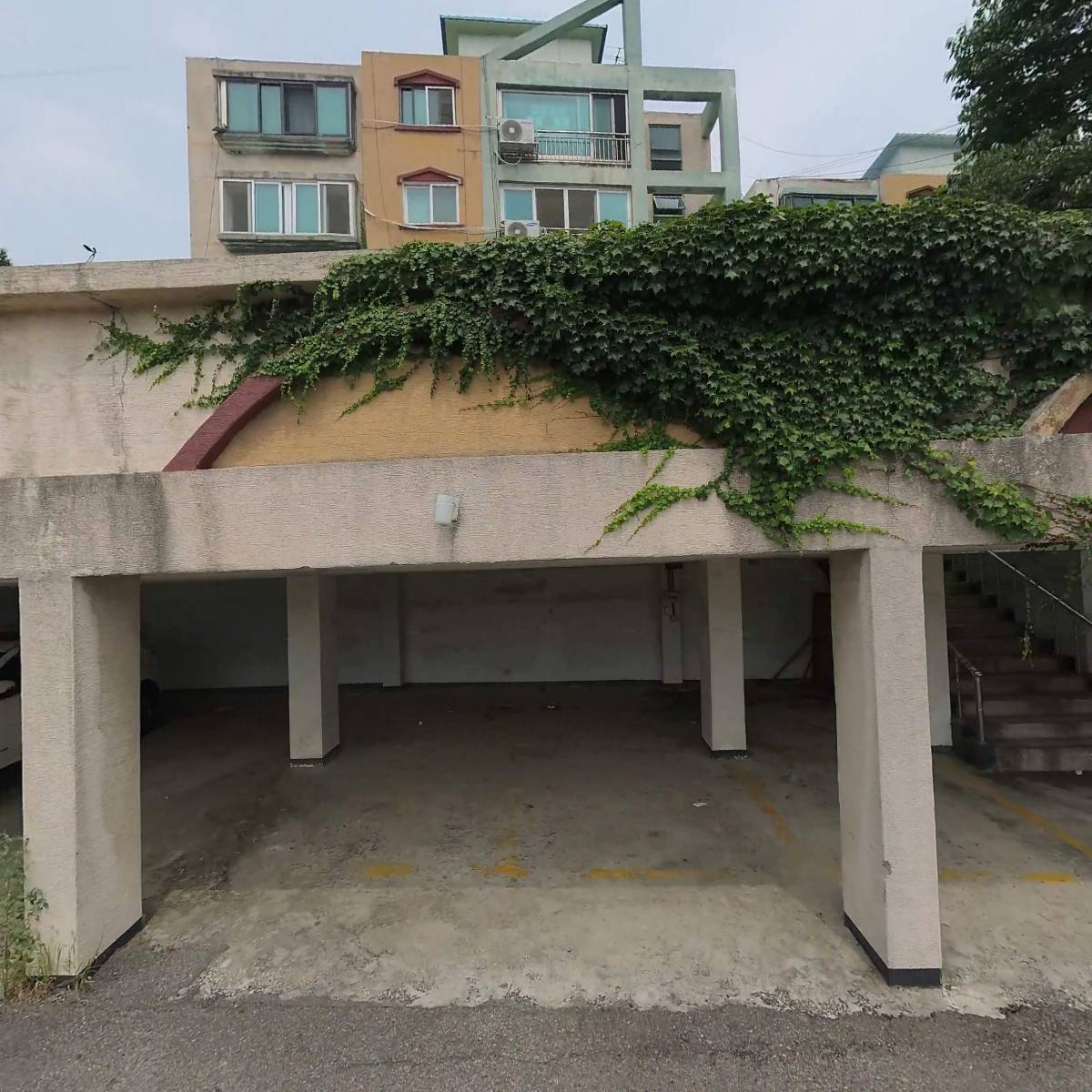 에나꼬레여자배구단선교회