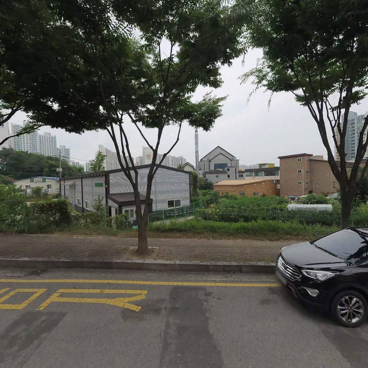 단향