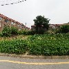강화섬한우정육점_3