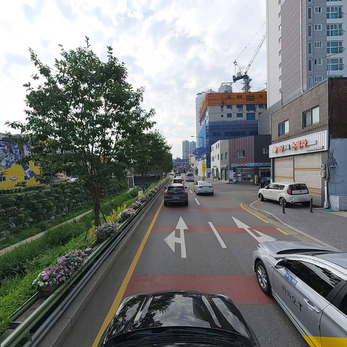 곰승마 손세차장_4