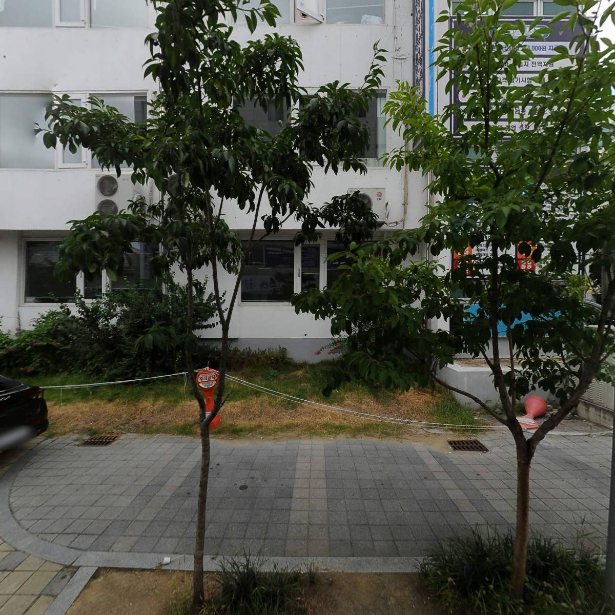 모그라피