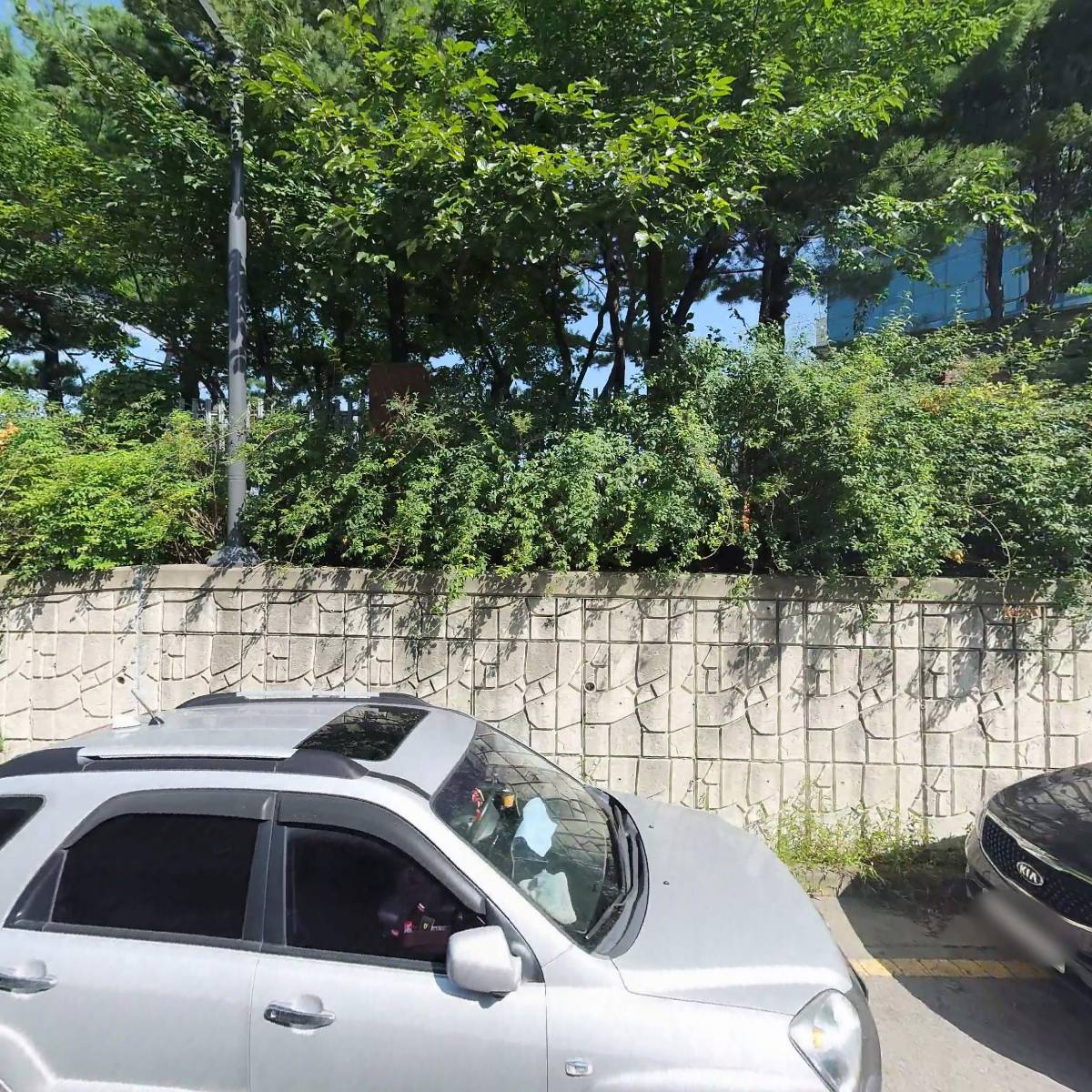 그린_3