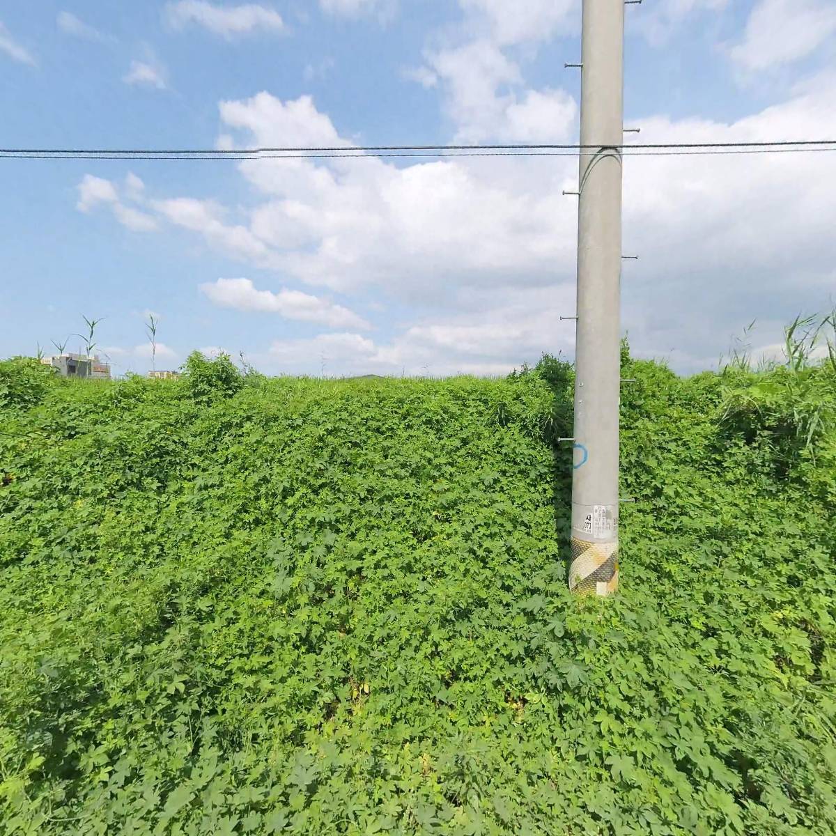 농업회사법인죽향(주)_3