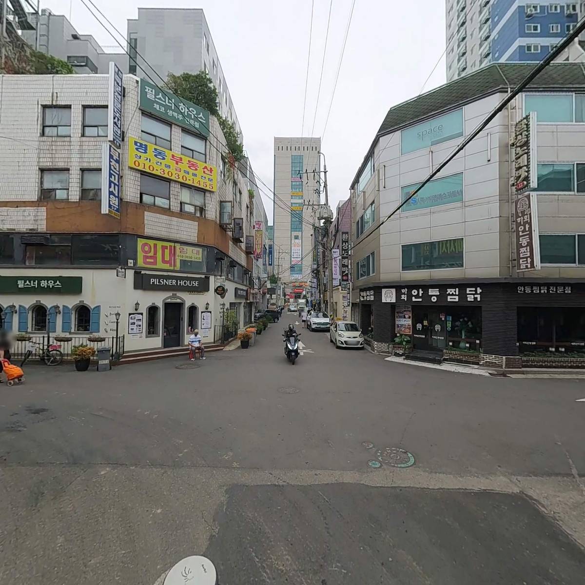 코알라노래클럽_2