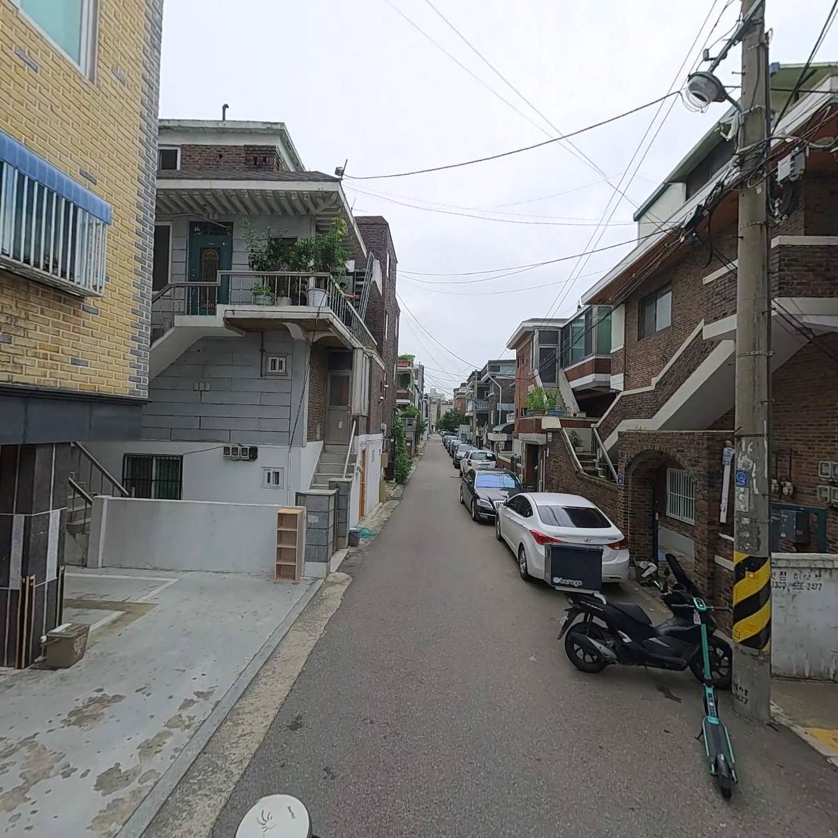 셀로테크닉_2