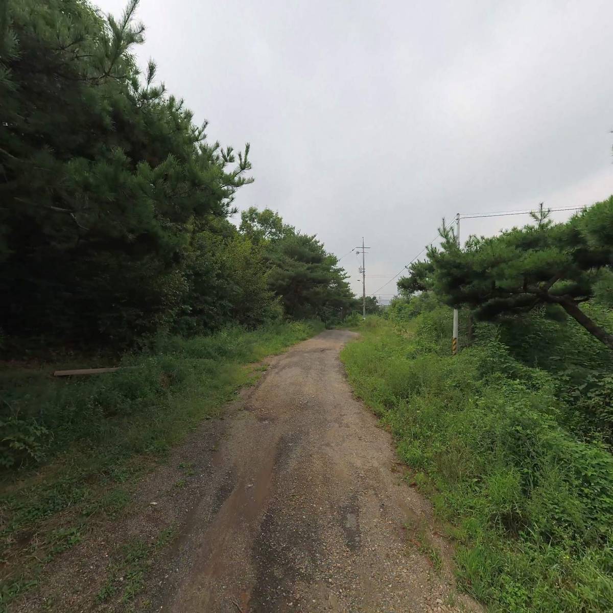 어업회사법인 (주) 약암양식장_2