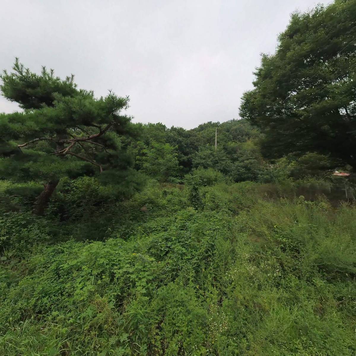 어업회사법인 (주) 약암양식장_3