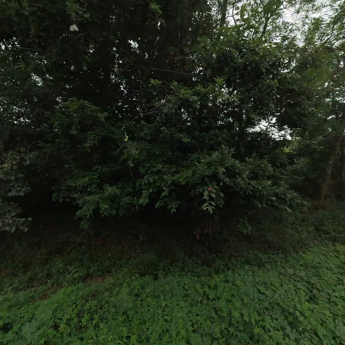 에스피엠_3