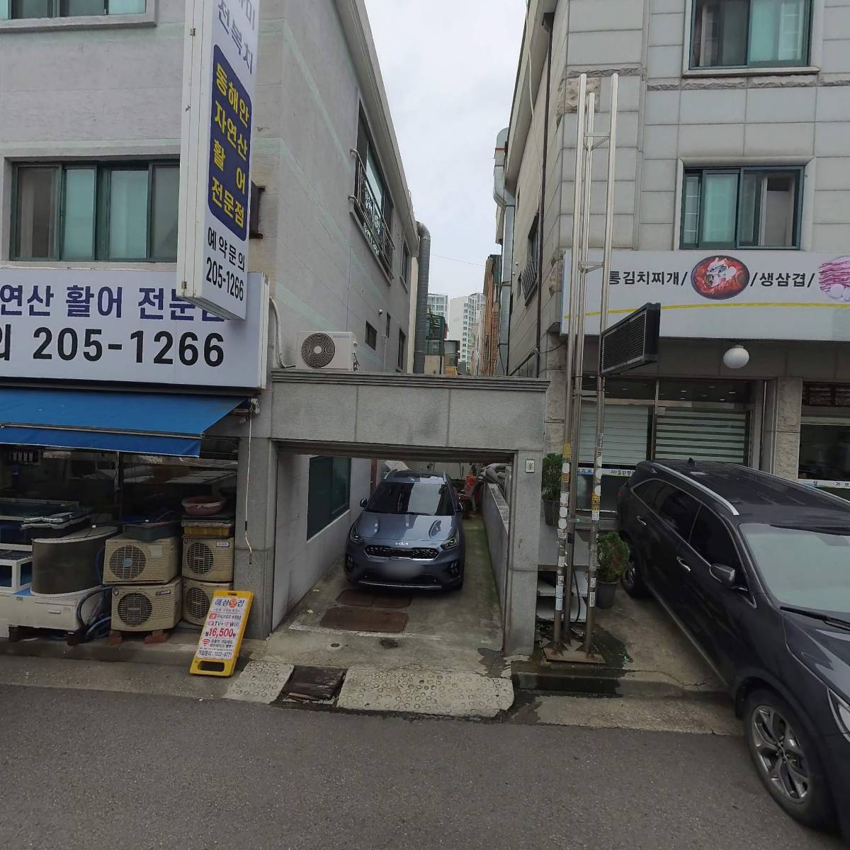 해삼