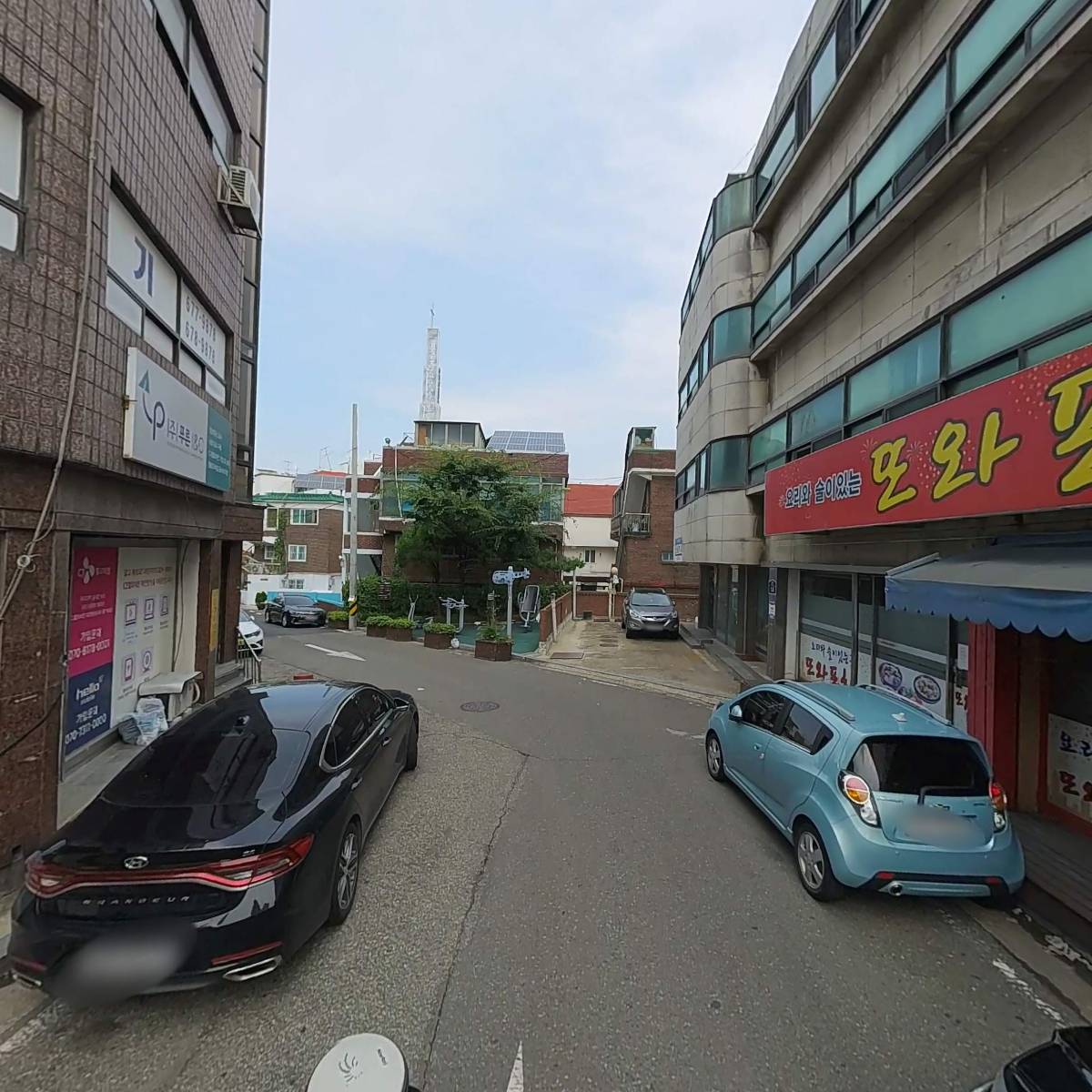 더코랄_2