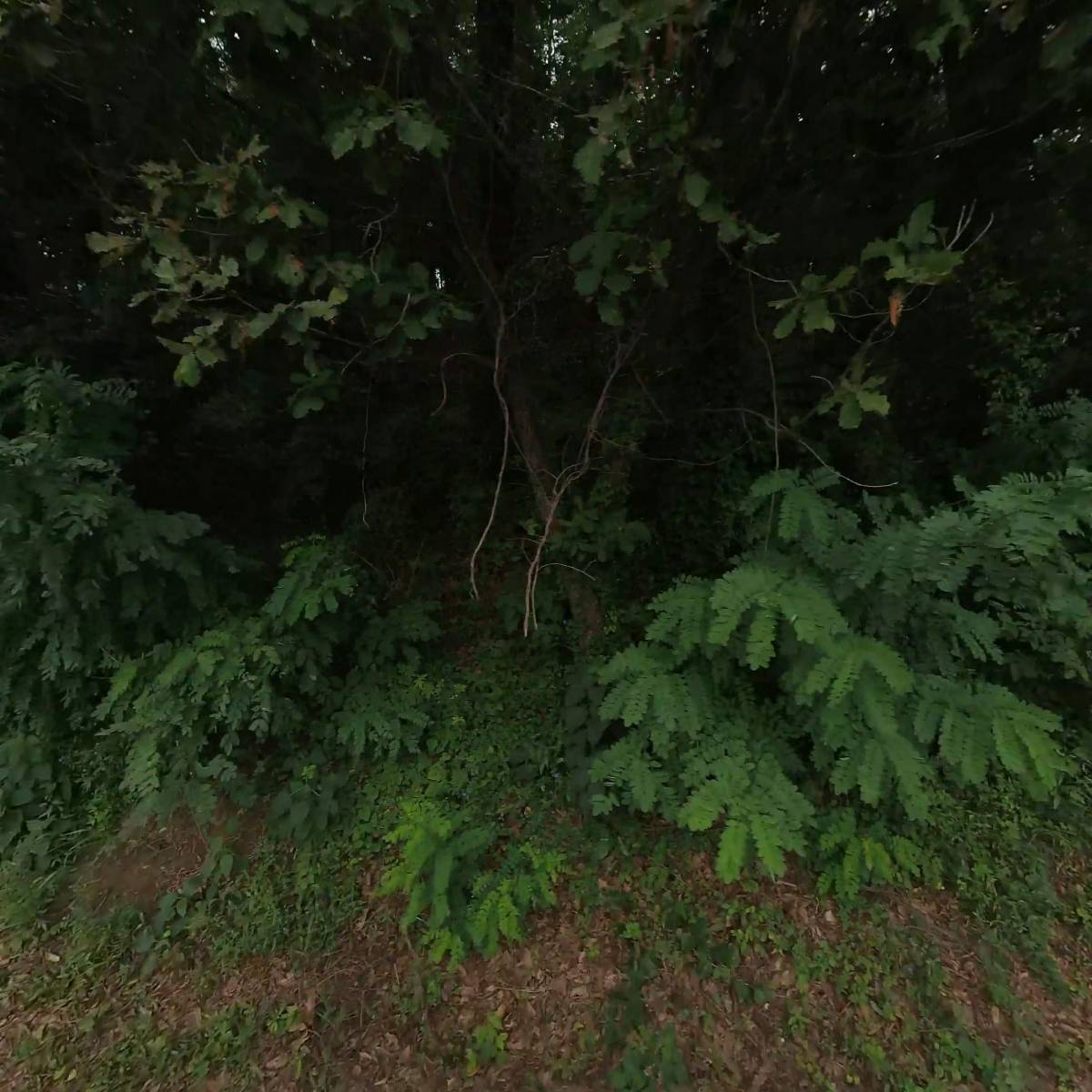 주식회사 한강조선
