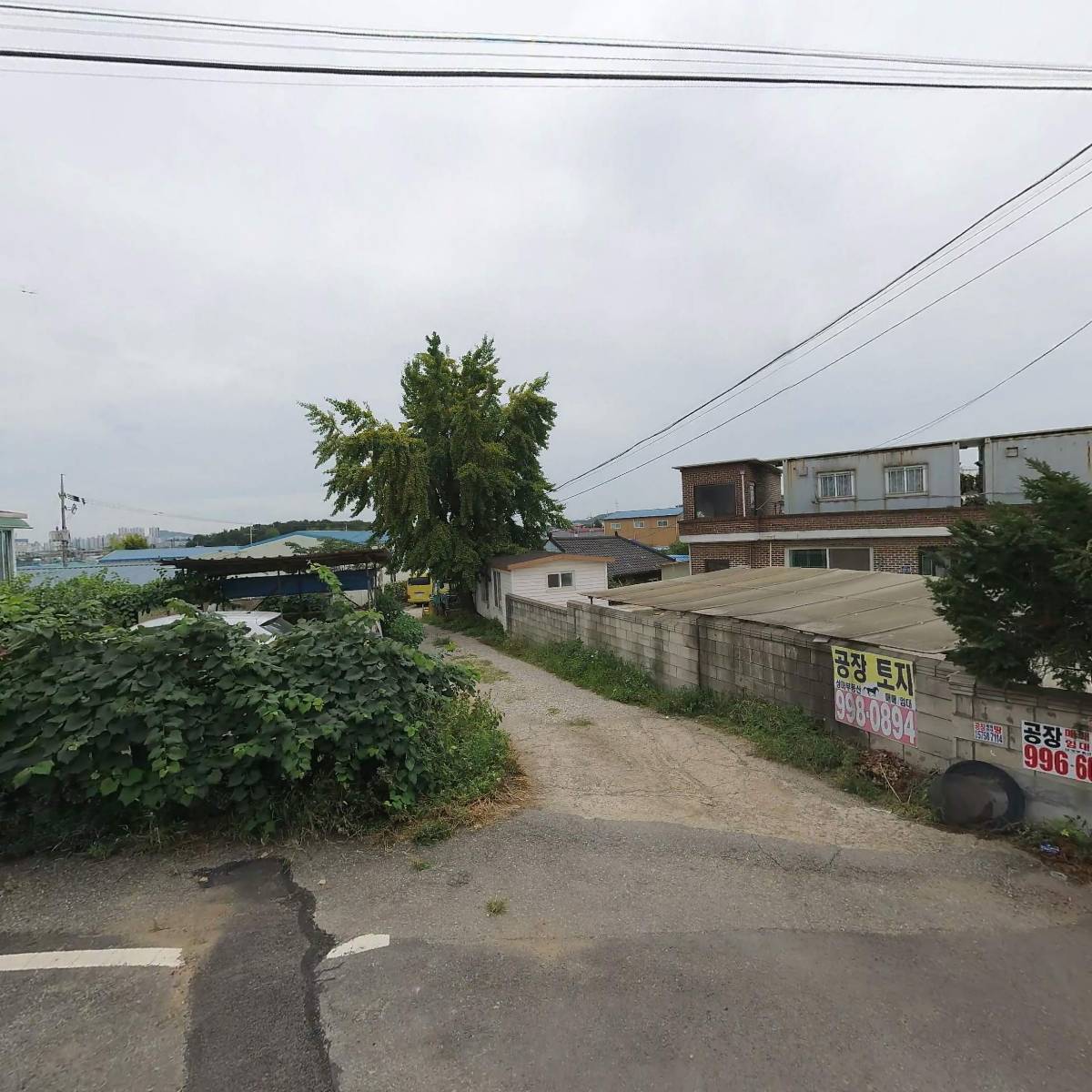 합동특수인물