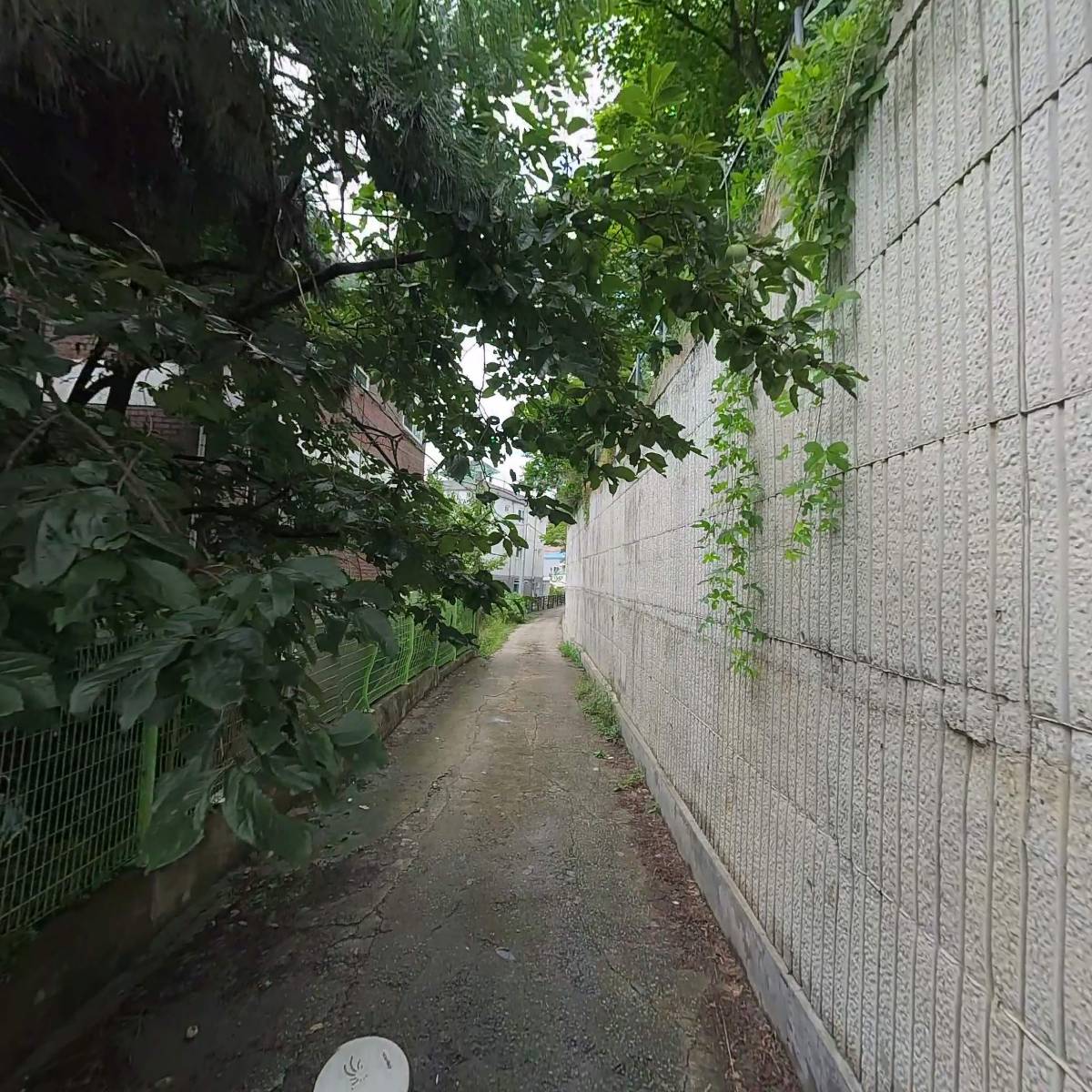 새동선교회_2