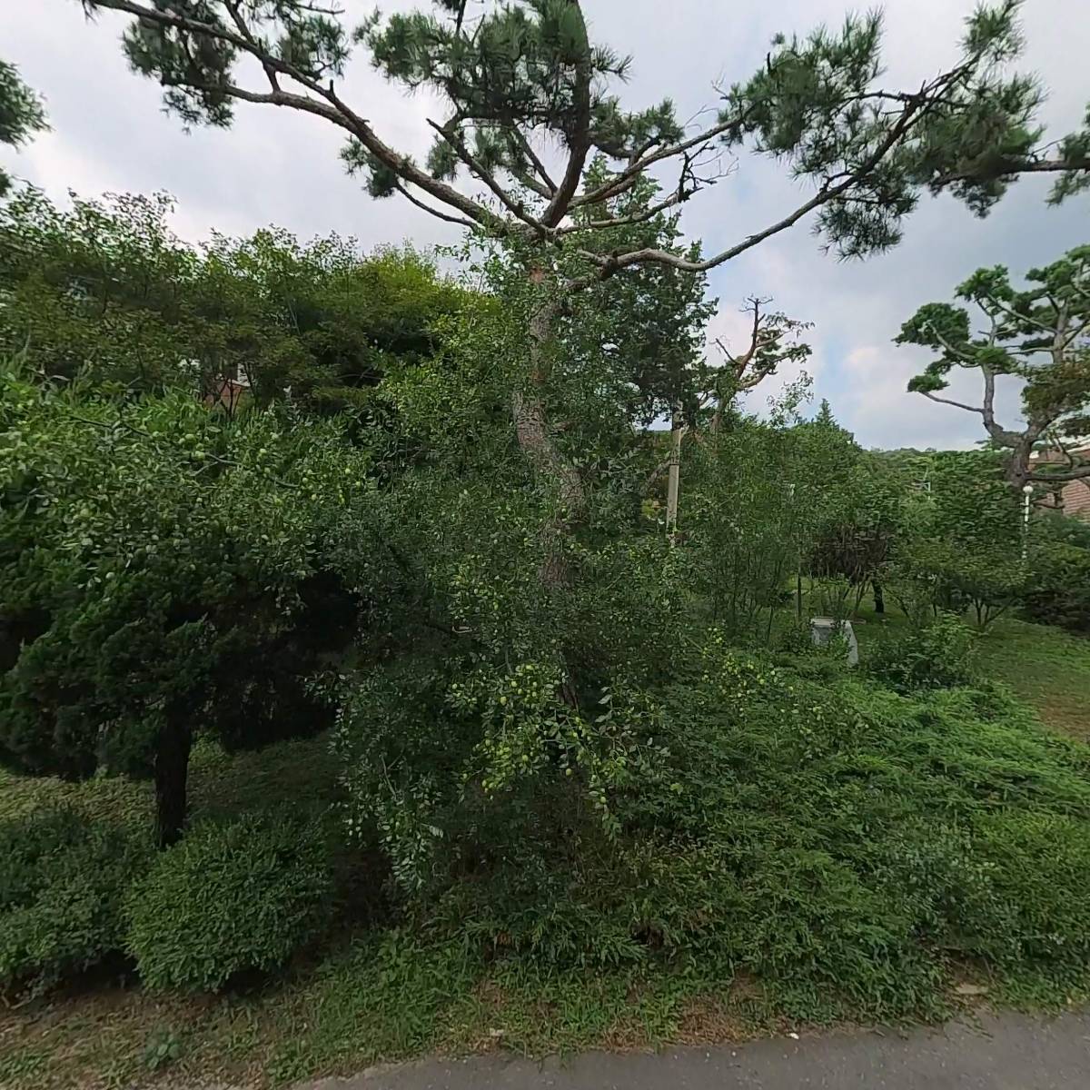 (복)성지원