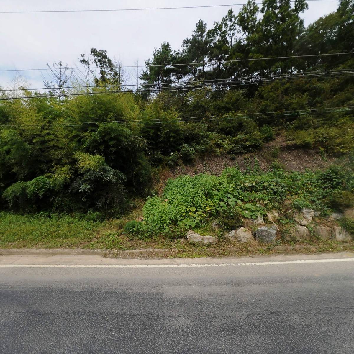 도산주유소_3