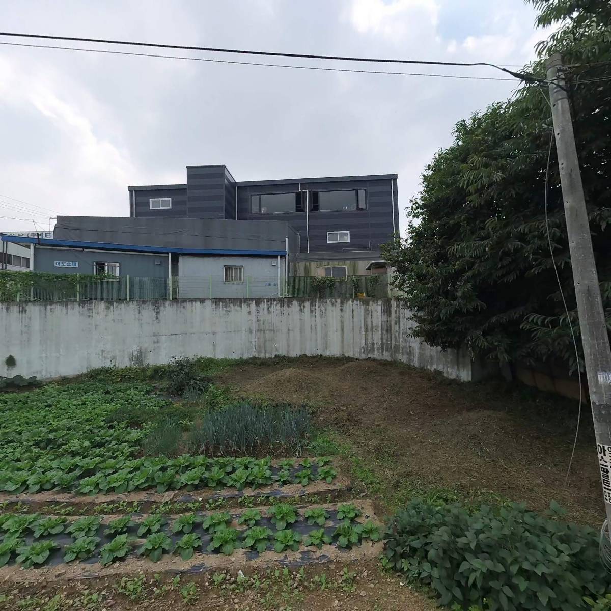이도쇼파_3